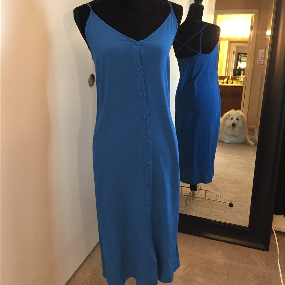 Topshop Button Down Dress